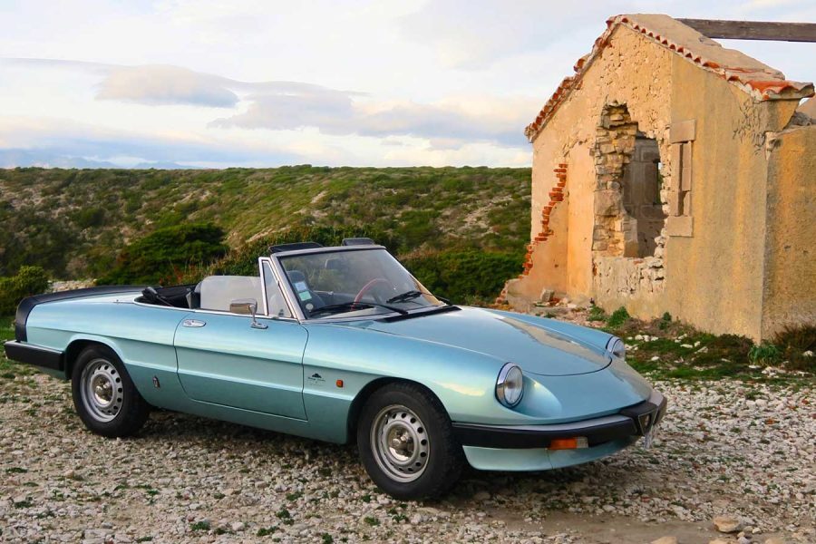 spider-bonif spider-bonif